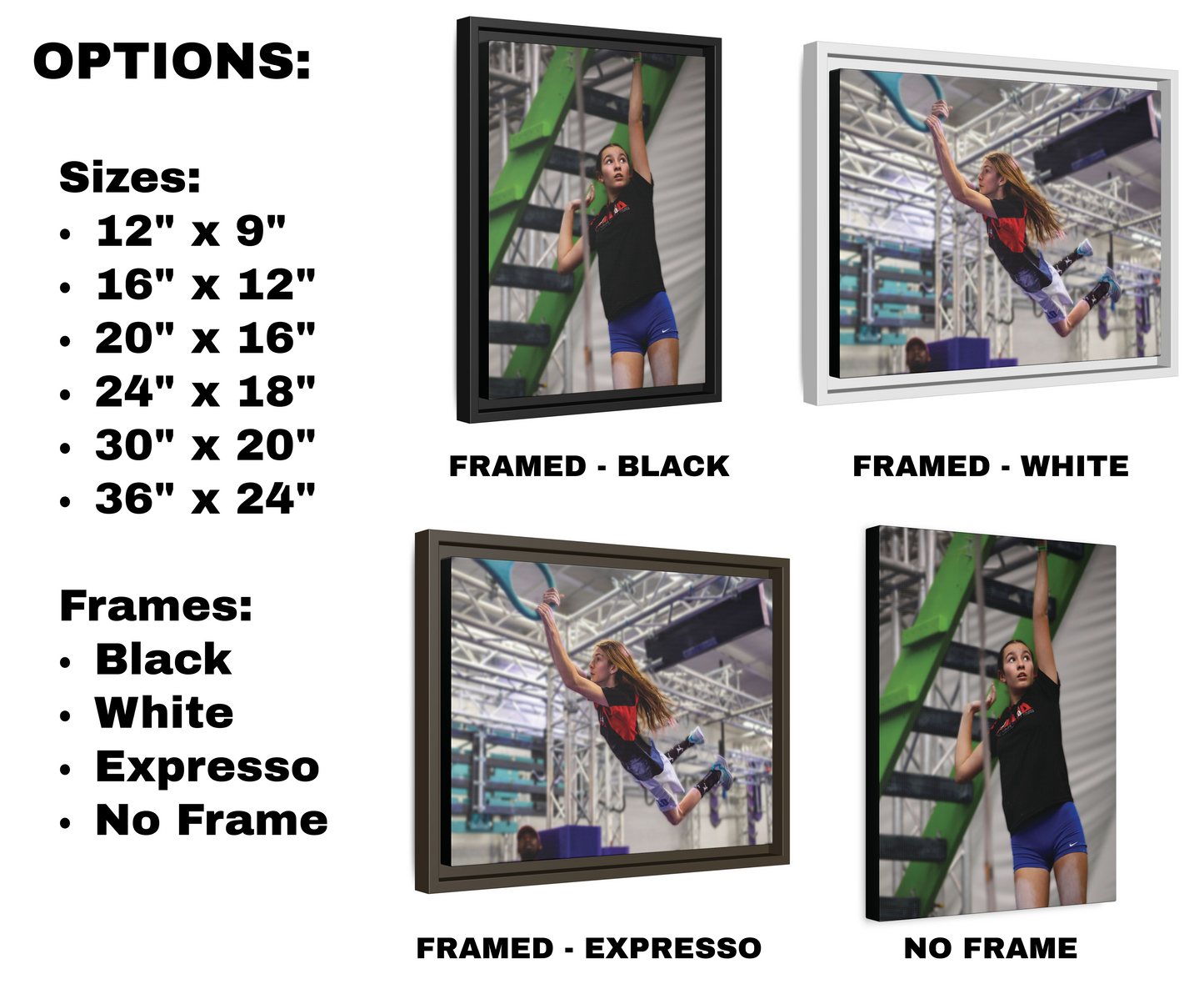 CUSTOM Canvas Athlete or Family Portrait